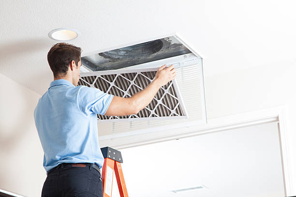 Best HVAC cleaning services  in Tecumseh, MI